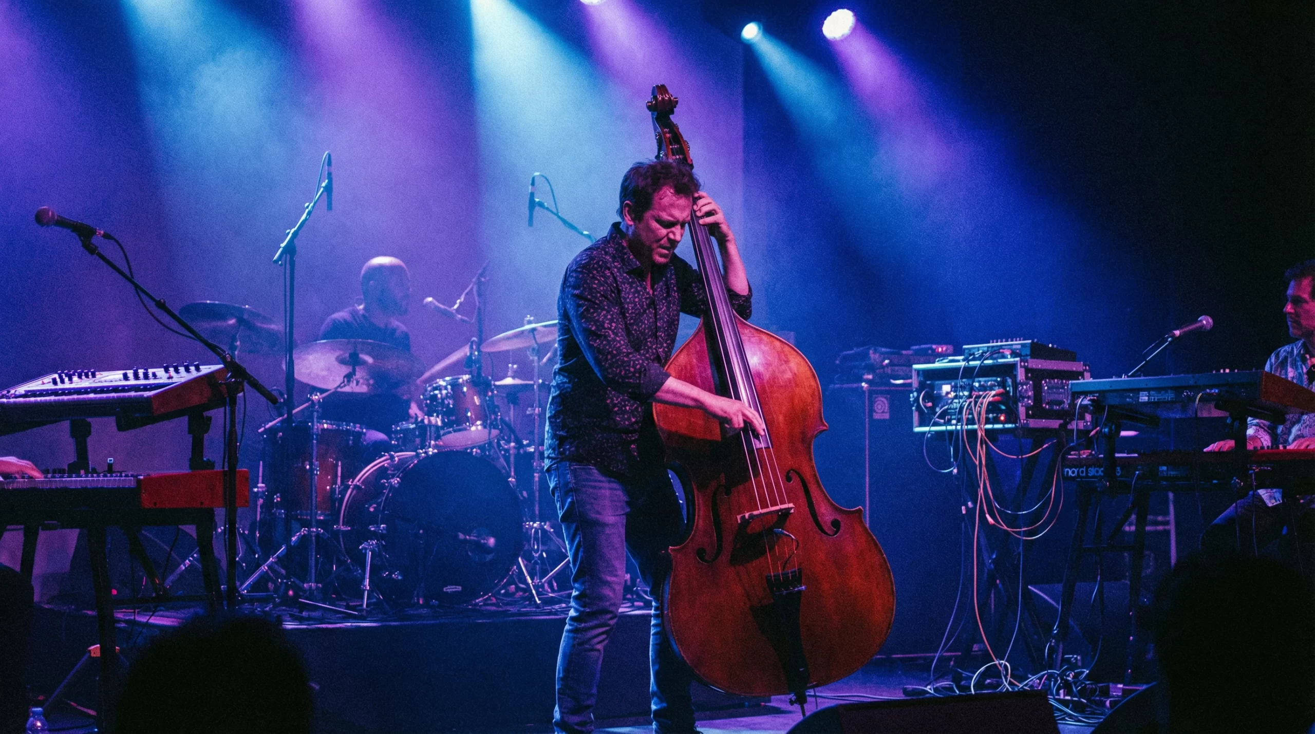 Contrabajista tocando en un concierto de jazz fusión moderno